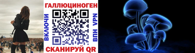 Купить закладки  Жиздра  Псилоцибиновые грибы MAGIC MUSHROOMS 